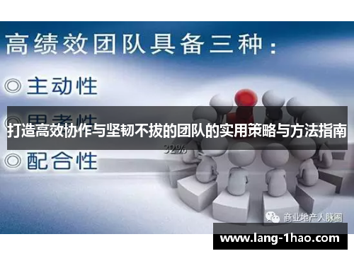 打造高效协作与坚韧不拔的团队的实用策略与方法指南