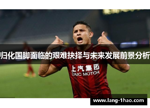 归化国脚面临的艰难抉择与未来发展前景分析