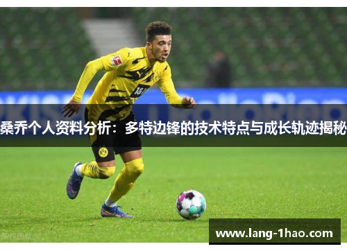 桑乔个人资料分析：多特边锋的技术特点与成长轨迹揭秘