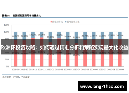 欧洲杯投资攻略：如何通过精准分析和策略实现最大化收益
