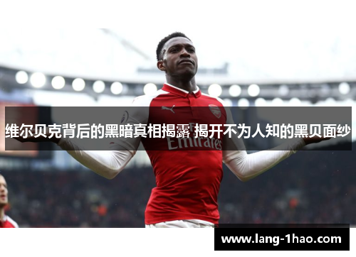 维尔贝克背后的黑暗真相揭露 揭开不为人知的黑贝面纱