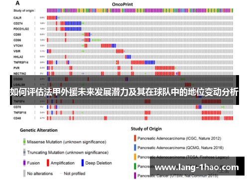 如何评估法甲外援未来发展潜力及其在球队中的地位变动分析