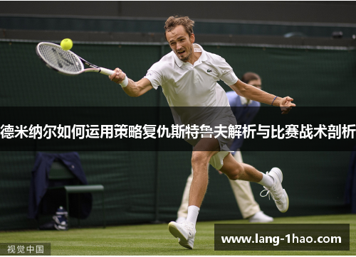 德米纳尔如何运用策略复仇斯特鲁夫解析与比赛战术剖析