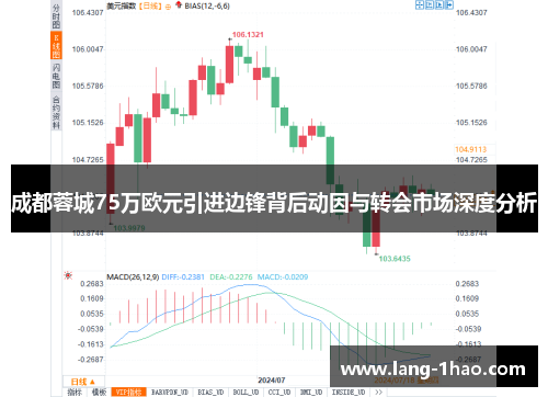 成都蓉城75万欧元引进边锋背后动因与转会市场深度分析