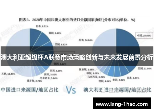 澳大利亚超级杯A联赛市场策略创新与未来发展前景分析