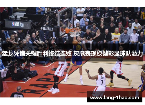 猛龙凭借关键胜利终结连败 灰熊表现稳健彰显球队潜力