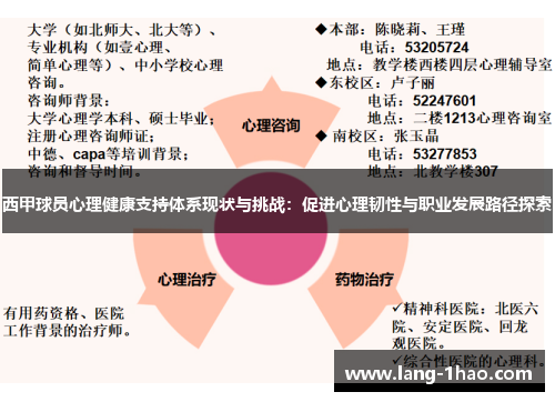 西甲球员心理健康支持体系现状与挑战：促进心理韧性与职业发展路径探索