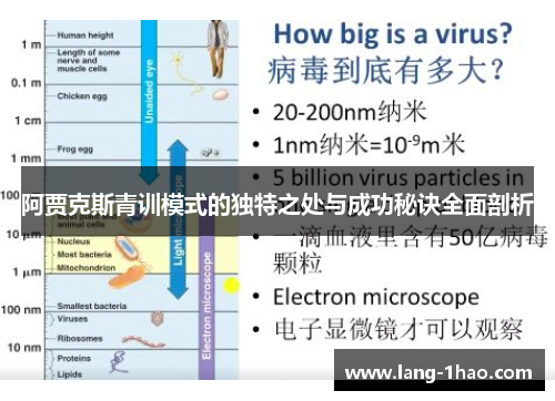 阿贾克斯青训模式的独特之处与成功秘诀全面剖析